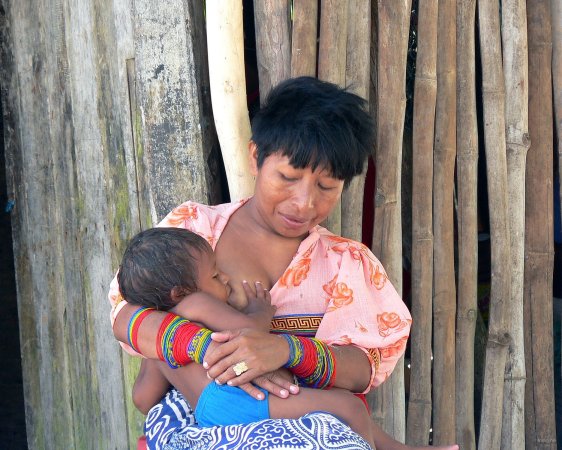 54- Femme kuna allaitant son enfant 